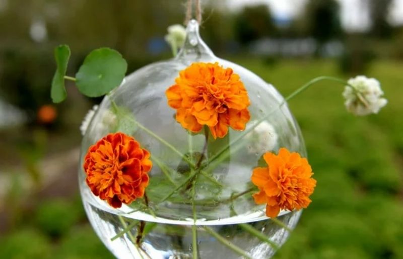 Terrario de Flores Hermosas