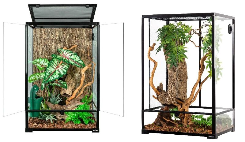 Vertical Terrarium Decorative Display of Plants