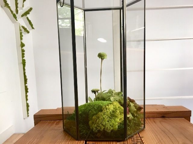 Vertical Terrarium