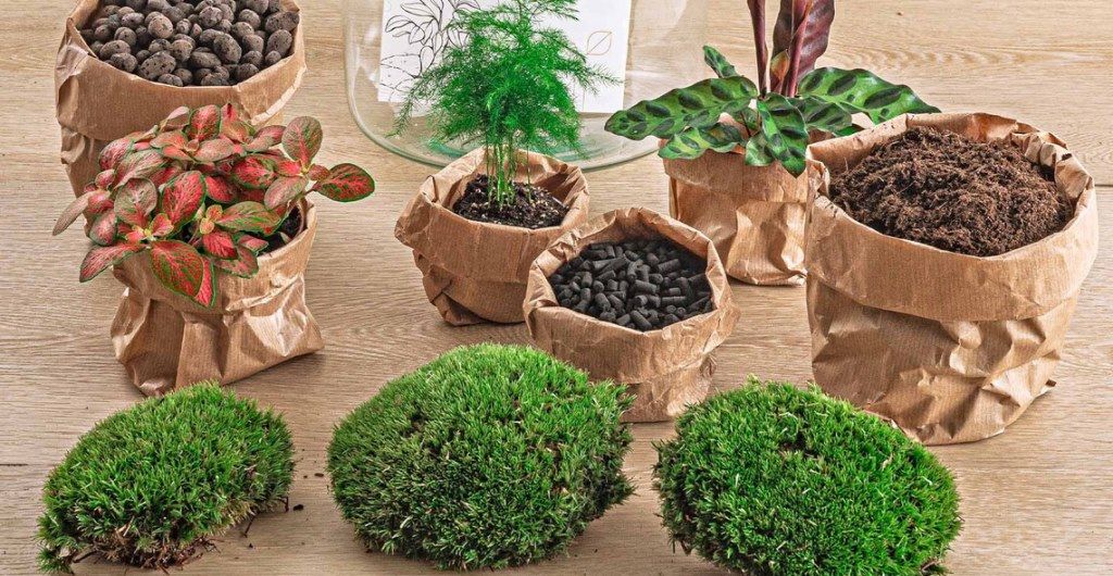 terrarium starter kit