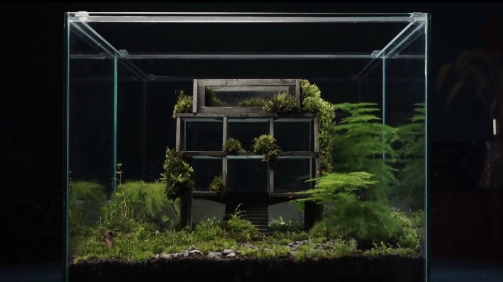 Brutalist Terrariums