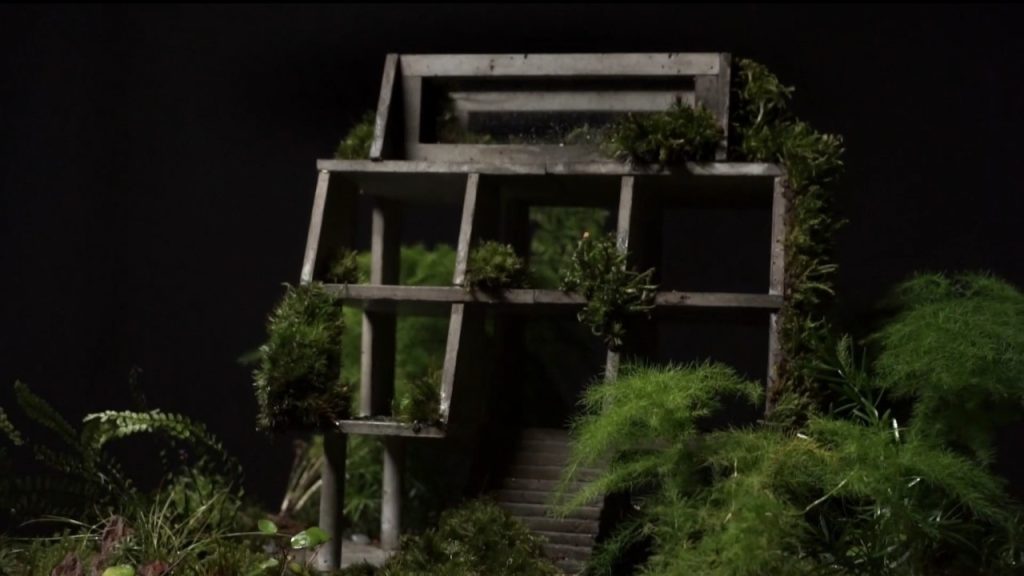 Brutalist Terrariums